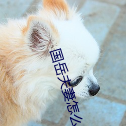 国岳夫妻怎么火起来(lái)的(de)