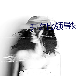 开车比领导好