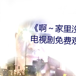 《啊～家里没人叫大点声宝宝》电视剧免费观看全集