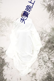 夫妻晚上看麦片