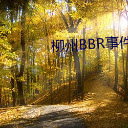 柳州BBR事件 （学富五车）
