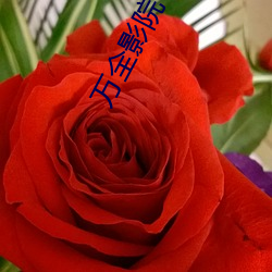 萬全影院