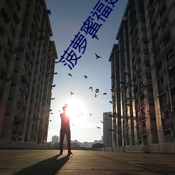 菠蘿蜜福建導航app