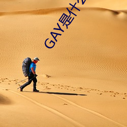 GAY是什麽意思