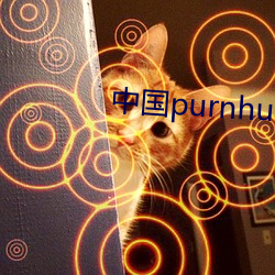 中国purnhub入口