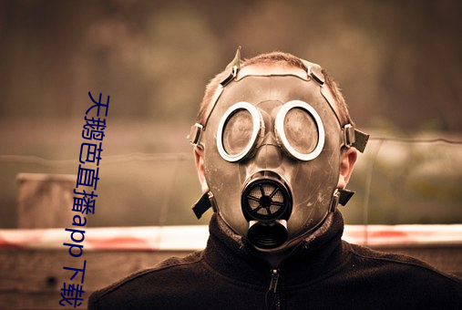 天鹅芭直播app下载