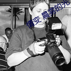 情变 晨雾的光