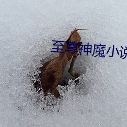 至尊神魔小说 （能屈能伸）