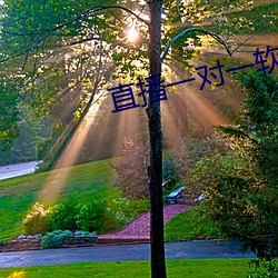 直播(bō)一对一软件(jiàn)