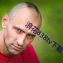 浪花(huā)838tv下载