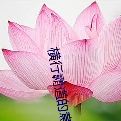金年会(中国)官方网站