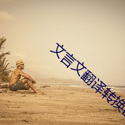 文(文)言文翻(翻)译转换(換)器