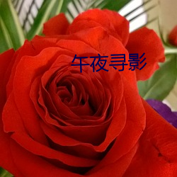 午夜寻影