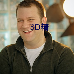 3D精