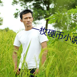 一枚硬(yìng)币(bì)小说
