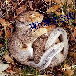 高h辣文合集