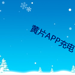 黄片APP充电