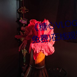 《糖心VLOG小桃内射频网站》(免费)在线寓目