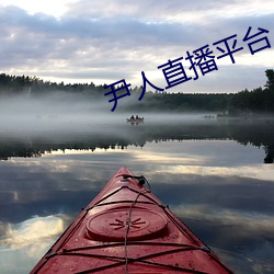 尹人直播平台