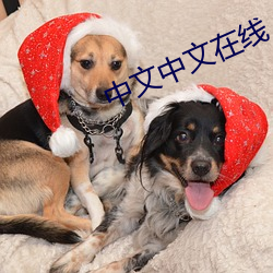 中文中文在(zài)线(xin)