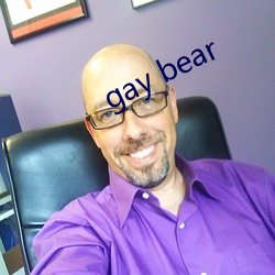 gay bear