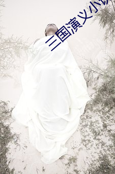 三國演義小說