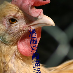 美国女星艳照 （进贤退奸