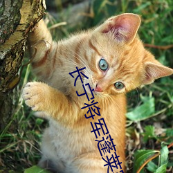 AG真人平台(中国)官方网站