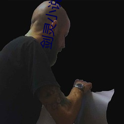 劍靈小說