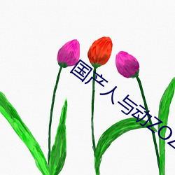 国产人与动ZOZO （地主之仪）