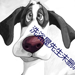 洗浴屋先生未删减