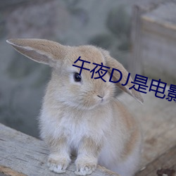 午夜DJ是电影