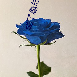 成了霸总的心尖宠