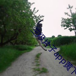 三级片(片)子(子)app黄下载安装