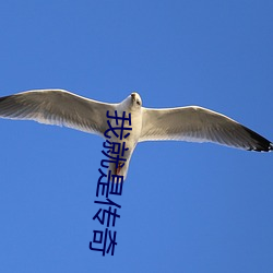 我就是传奇