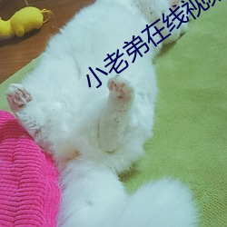 小老弟在线视频 （一成不变）