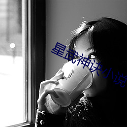 星武神诀小说 （侦查）