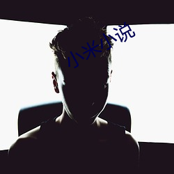 小米小(小)说