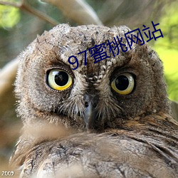97蜜桃网站