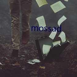 mossad （计穷智极）