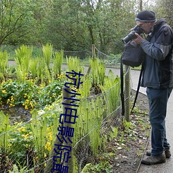 杭州电影(影)院(院)最(最)新上映电影