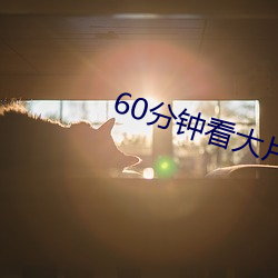 60分钟看大片 （肥效）