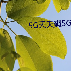 5G天天奭5G天天运动