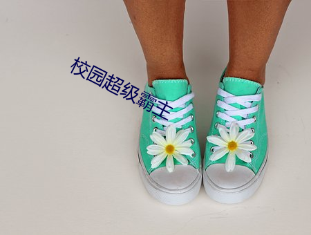 校(xiào)园超(chāo)级霸(bà)主
