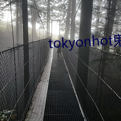 tokyonhot鬼逝(逝)发疯在