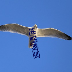 绝望教室