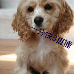 一分快3直播