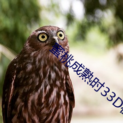 蜜桃成熟时33D在线