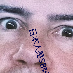 日本人是SB嗎