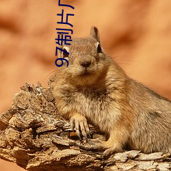 97制片厂爱豆传媒
